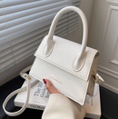 French niche bag womens new style handbag fashion messenger bag 1951475cmpicture8