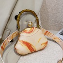 2022 winter new fashion shell shape tiedye messenger evening bag 16126cmpicture10