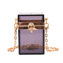 acrylic transparent box womens autumn fashion jelly chain shoulder messenger bag 696cmpicture10