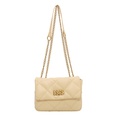 Spring and summer chain messenger bag womens shoulder bag 2151575cmpicture11