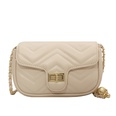 Simple fashion chain oneshoulder womens rhombus embroidery thread messenger bag 20127cmpicture14