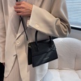 French niche bag womens new style handbag fashion messenger bag 1951475cmpicture12