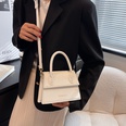 French niche bag womens new style handbag fashion messenger bag 1951475cmpicture14