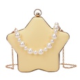 2022 new star shape pearl chain shoulder messenger bag 205186cmpicture13
