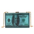 Fashion acrylic box bag womens bag 2022 new dollar chain bag 18115cmpicture15