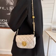 female new style fashion diamond chain messenger bag 2012565cmpicture12