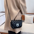 female new style fashion diamond chain messenger bag 2012565cmpicture16