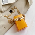 acrylic transparent box womens autumn fashion jelly chain shoulder messenger bag 696cmpicture14