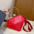 Fashion womens new autumn and winter oneshoulder messenger bag 22186cmpicture12