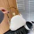 2022 winter new fashion shell shape tiedye messenger evening bag 16126cmpicture14