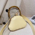 2022 winter new fashion shell shape tiedye messenger evening bag 16126cmpicture15