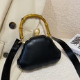 2022 winter new fashion shell shape tiedye messenger evening bag 16126cmpicture18