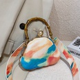 2022 winter new fashion shell shape tiedye messenger evening bag 16126cmpicture24