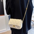 Lingge chain new fashion oneshoulder messenger small square underarm bag 2114575cmpicture12