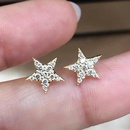 new fivepointed star summer star womens fashion copper earringspicture6