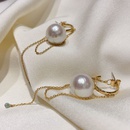 Fashion Temperament Pearl Earrings Long Tassel Alloy Earringspicture7