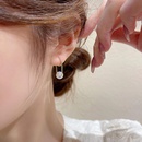 fashion pearl zircon chain earrings simple alloy earringspicture3