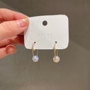 fashion pearl zircon chain earrings simple alloy earringspicture4