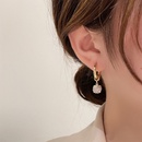 fashion full diamond earrings simple geometric alloy earringspicture7
