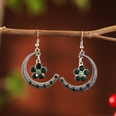 Fashion new crescent flower retro alloy earrings wholesalepicture14