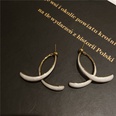 Fashion Geometric  Earrings Simple Oil Drop Alloy Earringspicture11