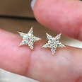 new fivepointed star summer star womens fashion copper earringspicture8