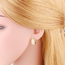 Fashion exaggerated female zircon geometric earringspicture7