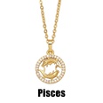 zirconencrusted twelve constellation copper necklace wholesalepicture12
