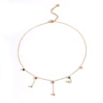 fashion necklace color zirconium sweater chain titanium steel collarbone chainpicture12