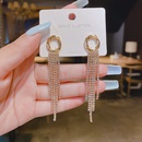 fashion tassel inlaid zircon earrings simple alloy earringspicture8