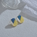 New simple geometric contrast color acetate female fashion square retro alloy earringspicture9