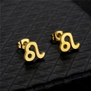 twelve constellation Leo pendant stainless steel necklace earrings setpicture7