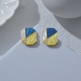 New simple geometric contrast color acetate female fashion square retro alloy earringspicture12