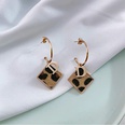 Simple fashionable letter D shell womens geometric alloy earringspicture13