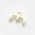Korean hairpin cream color grasping clip back head plate hair accessoriespicture13