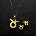 Twelve Constellation Taurus Clavicle Chain Stainless Steel Necklace Earrings Setpicture11