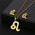 twelve constellation Leo pendant stainless steel necklace earrings setpicture11