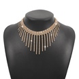 fashion geometric tassel full rhinestone alloy necklace wholesalepicture12
