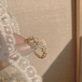 mode bogen offener ring weiblicher koreanischer kupfer zirkon zeigefinger ringpicture14