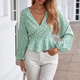 Ladies Spring and Autumn Casual VNeck Slim Fit Polka Dot Long Sleeve Shirtpicture15