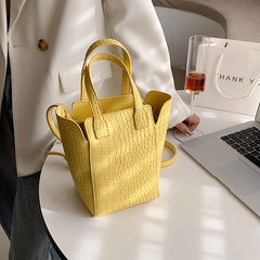 Spring popular bucket small bag new trendy texture fashion hand-held messenger bag