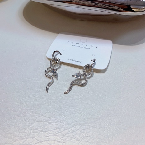 snake-shaped ear buckle metal personality alloy earrings's discount tags