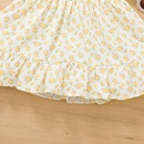 Little girl shortsleeved floral skirt summer girl princess skirt childrens dresspicture8