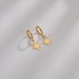 vintage rice beads eightpointed star round stainless steel earringspicture9