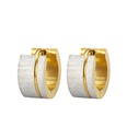 vintage round ear buckle trend full gold brushed stainless steel earrings wholesalepicture11