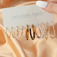 Fashion Acetate Set 5 Pairs Resin Inlaid Pearl Color Earrings Wholesalepicture13
