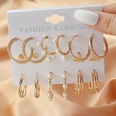 Fashion Acetate Set 5 Pairs Resin Inlaid Pearl Color Earrings Wholesalepicture14