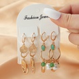 Fashion Acetate Set 5 Pairs Resin Inlaid Pearl Color Earrings Wholesalepicture15