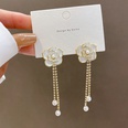 Retro long tassel flower zircon pearl drop earrings wholesalepicture12