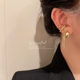 Niche design ear stud ear clip set short tassel temperament earrings 2022 new allmatch simple earringspicture15